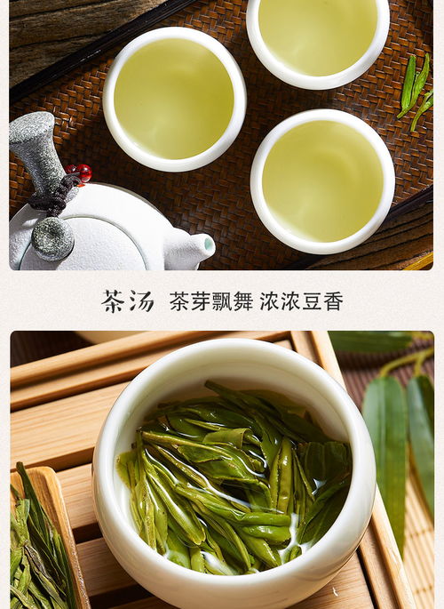 情于龙井：一杯茶中的深情与感悟