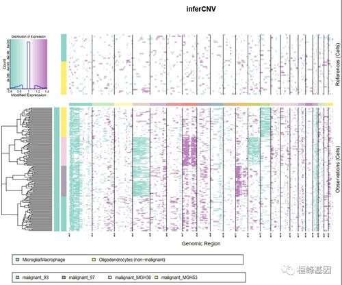 R中单细胞RNA-seq数据分析教程 (2): 从基础到进阶的全面指南