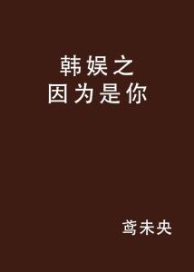 韩娱活动因戒严令接连取消：我亲历的动荡与反思