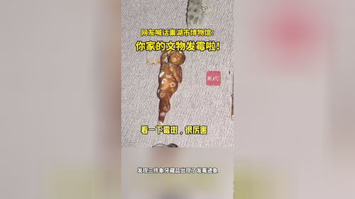 网友喊话安徽巢湖博物馆：你家的文物发霉啦！