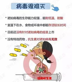 诺如病毒感染进入高发期！如何保护自己和家人？