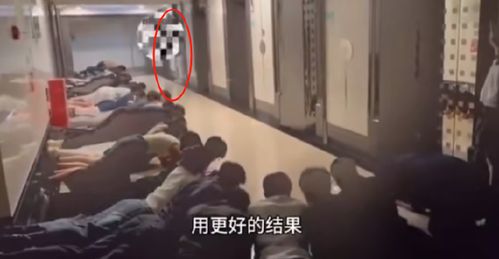 广州教培机构趴地迎接领导事件：背后的故事与反思