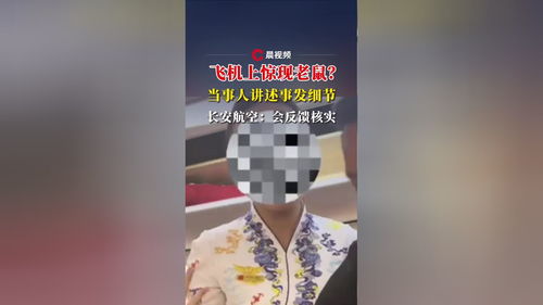 惊魂一刻：喀什飞西安航班上老鼠窜进乘客鞋子，旅客亲述事发经过