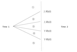 转录组DEGs聚类热图和功能富集分析：从入门到精通