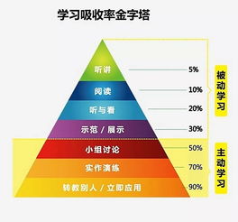 学生分组实验的三个阶段：从理论到实践的探索之旅