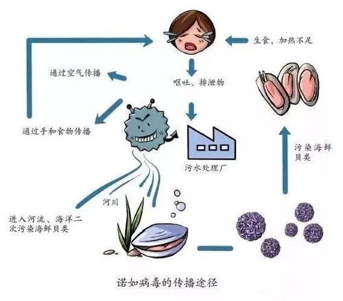 预防诺如病毒“五要五不要”：从我做起，守护家人健康