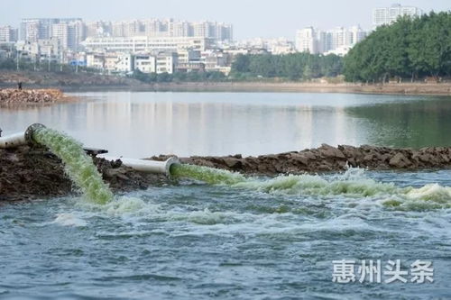 岌岌可危的水：一位水利人的心路历程