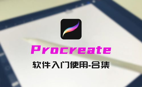 Procreate软件基础操作全攻略，新手入门教程