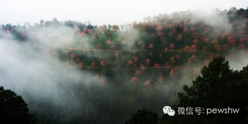 冬日里的那份温暖：我与陌生人的暖心瞬间