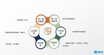 数据化管理流程8个步骤之6:应用模板开发——我的实战经验分享