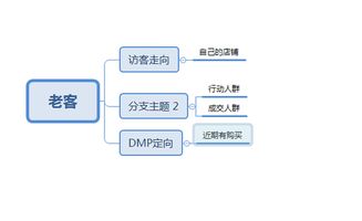 全域推广，实现ROI快速提升！揭秘巨量千川投流增粉最关键的流程