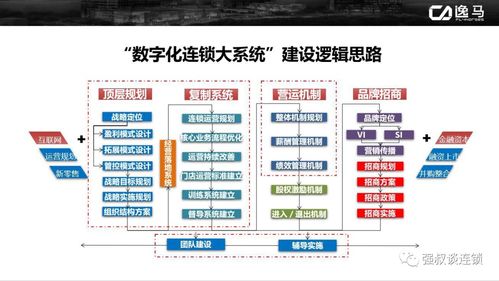 成功需要“四化”：从个人成长到企业管理的深度思考