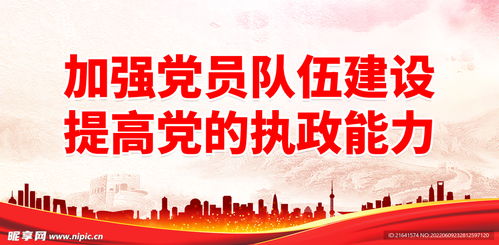 从个人视角看党员队伍建设：助力强国复兴伟业的点滴感悟