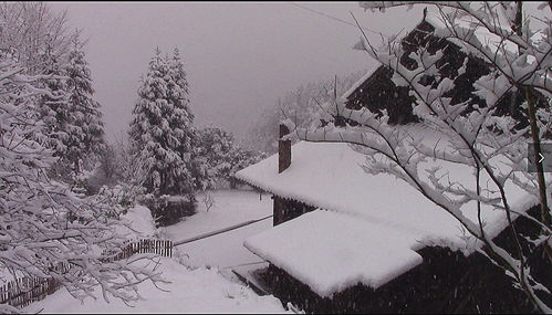 今日大雪：静待风雪夜归人，愿岁岁皆安