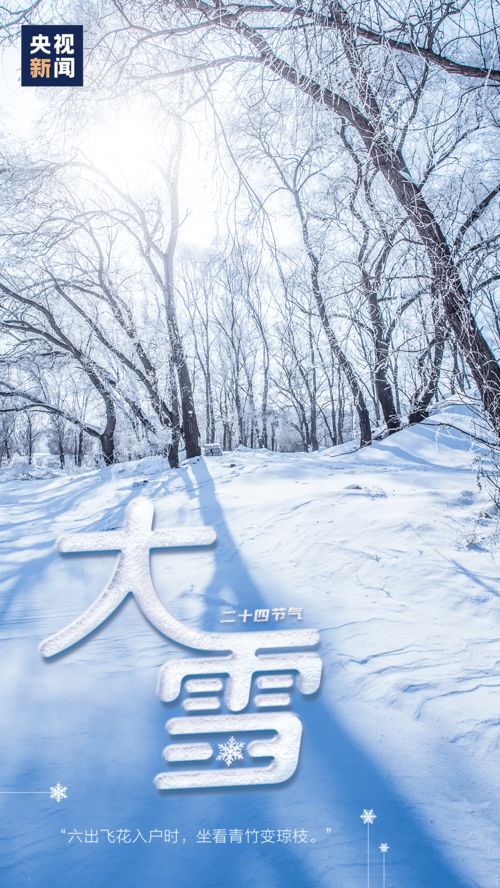 今日大雪：我在雪中的感悟与体验