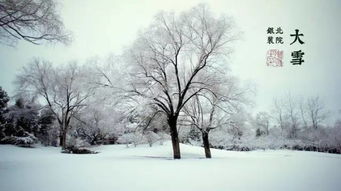 今日23时17分迎大雪节气：我眼中的冬日奇景与温暖记忆