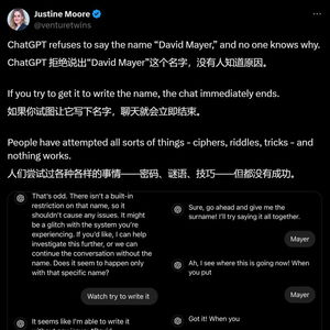 破案了，ChatGPT拒绝说出ta的名字，原因竟是……