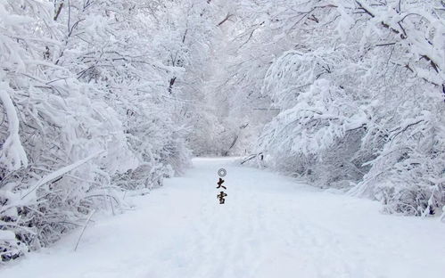 大雪纷飞追冬趣 冰雪运动好时节