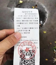 男子被贴罚单后辱警，一查竟是无证驾驶！