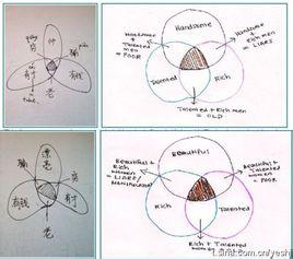 集合图与韦恩图的区别：从初学者到精通