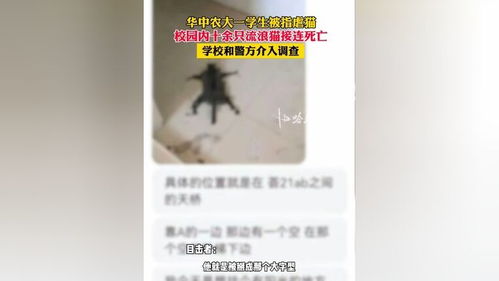 华中农大虐猫事件：学校回应与反思