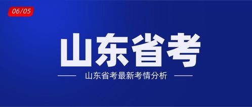 山东省考在即，我与19.7万名考生的备考之路