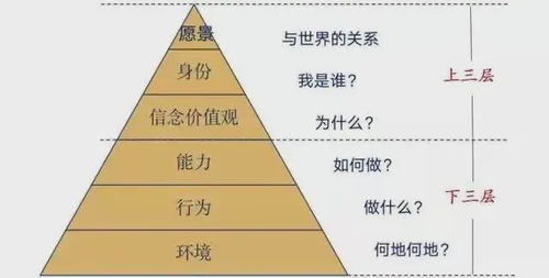 距离与层次：从个人视角探索思维的深度与广度