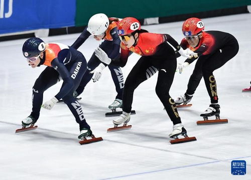 中国短道速滑混接夺冠：见证冰雪奇迹的激动时刻