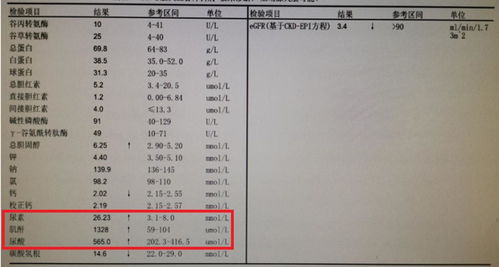 辅导作业被气进医院：家长的无奈与反思