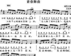 青春舞曲：那些年，我们一起跳过的舞