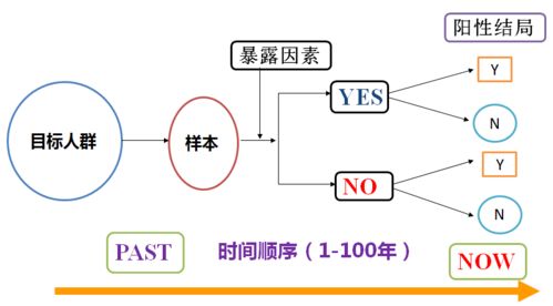 荣耀GT首发自研幻影引擎，游戏表现能否超越同芯片友商？