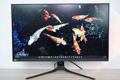 2K 240Hz vs 4K 160Hz 显示器：如何做出最佳选择？