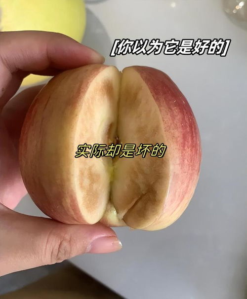 你以为很干净但实际很脏的东西：从个人视角揭开隐藏的健康隐患