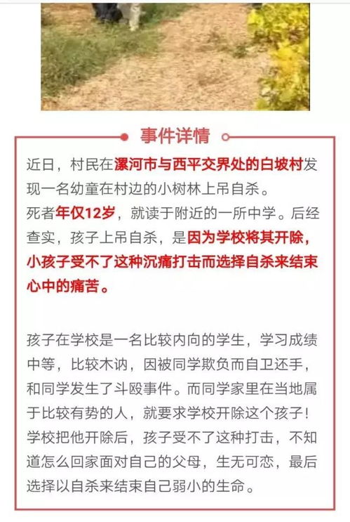 苏州回应学生手拉手跳楼传闻：真相与反思