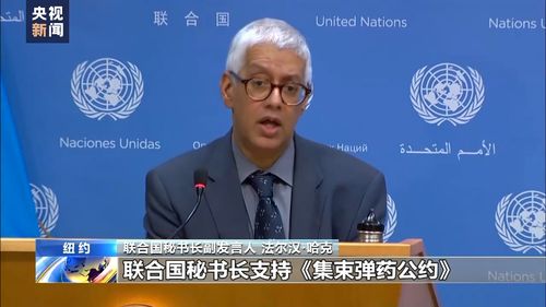 联合国发声：坚决反对侵犯叙利亚领土完整的行为