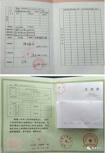 农村宅基地闲置现象引关注：一村696间房，空置率43.8%