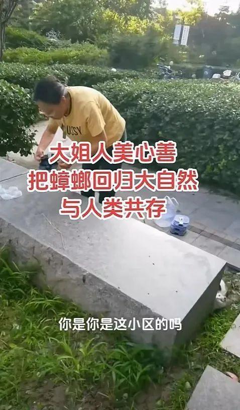 水利局回应老人河边放生大米：生态保护与传统习俗的碰撞