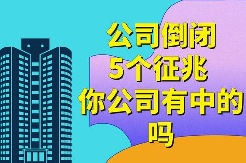 公司倒闭前的征兆：从个人视角看企业的生死线