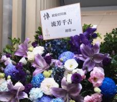 琼瑶花葬现场：儿媳掩面哭泣，一代文学巨匠悄然离去