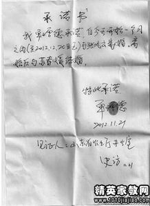 李行亮撕掉婚姻承诺书：从《再见爱人》到被活动除名的背后