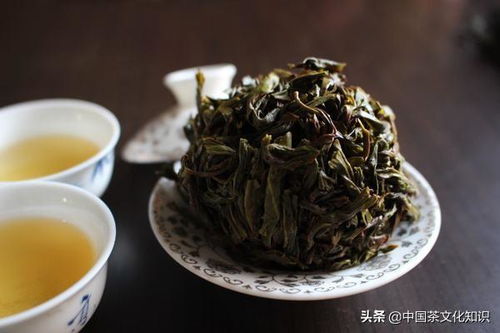 鸭屎香茶叶和鸭屎到底有没有关系？我带你揭开真相