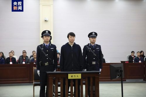 李铁案一审宣判：背后的故事与反思