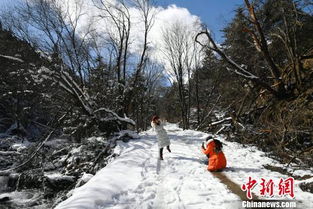 去有雪的地方：一场冬日的梦幻之旅