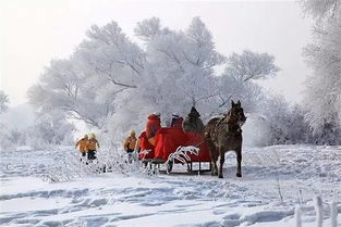 一起去有雪的地方：南方的冰雪奇缘