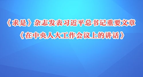 深入理解党的自我革命：新时代的伟大实践与个人感悟