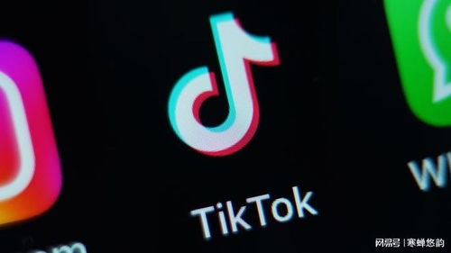 TikTok在美即将被禁？商家“下南洋”做两手准备