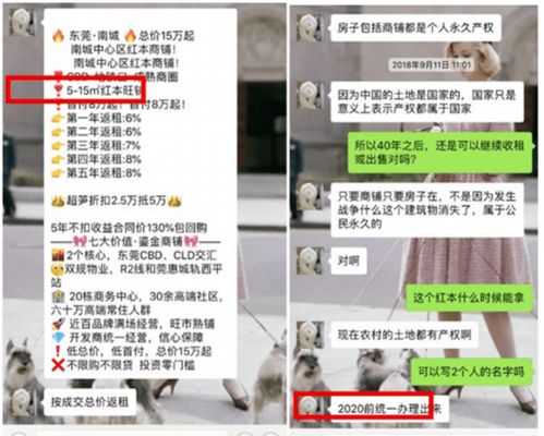 一周市场盘点：英伟达被调查、极越闪崩、毛戈平上市，背后的故事