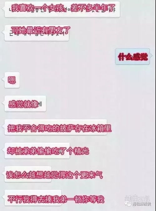 翻看2024年的相册：那些让我难以忘怀的美食故事