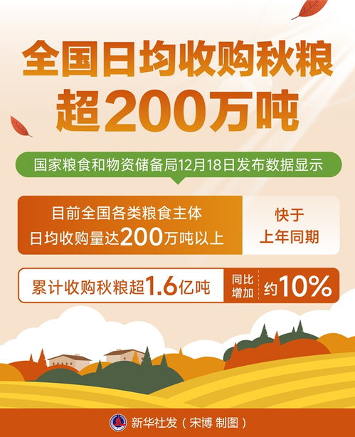 全国日均收购秋粮超200万吨：丰收背后的故事