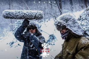 雪战到底：从微博热搜看冰雪运动的热潮与挑战